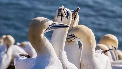 九游（jiuyou.com）游戏-电竞赛事奖金大揭秘：金钱背后的竞争与压力，电竞比赛总奖金