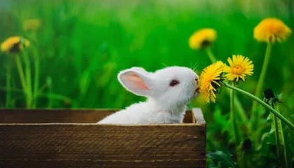 九游（jiuyou.com）游戏-电竞赛事奖金大揭秘：金钱背后的竞争与压力，电竞比赛总奖金