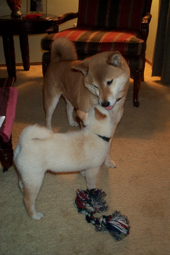 争夺欧冠席位：积分榜上的激烈追逐，欧冠夺冠球队排名