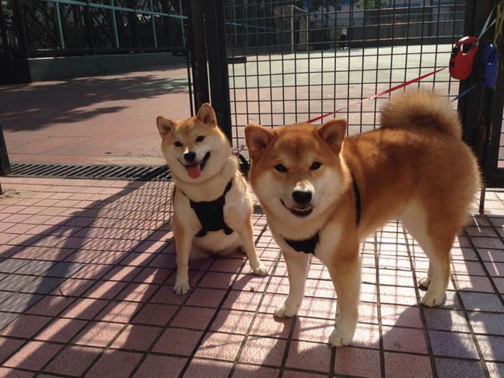 哥伦比亚马术协会举办国际马术科技大会,推动行业技术交流与合作。
