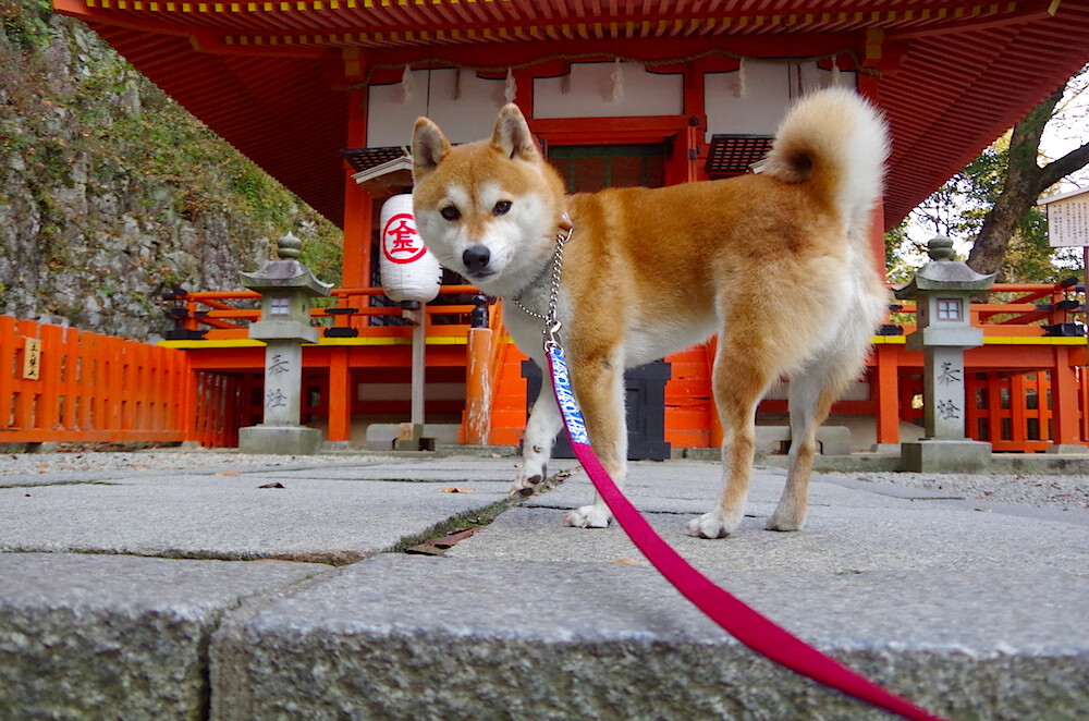 国脚训练内容公开展示科学严谨,国家队国脚