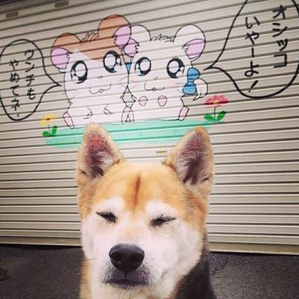 极端环境中的生死考验:高温、冰原、沙尘都挡不住车手激情,在极端环境下生存的人