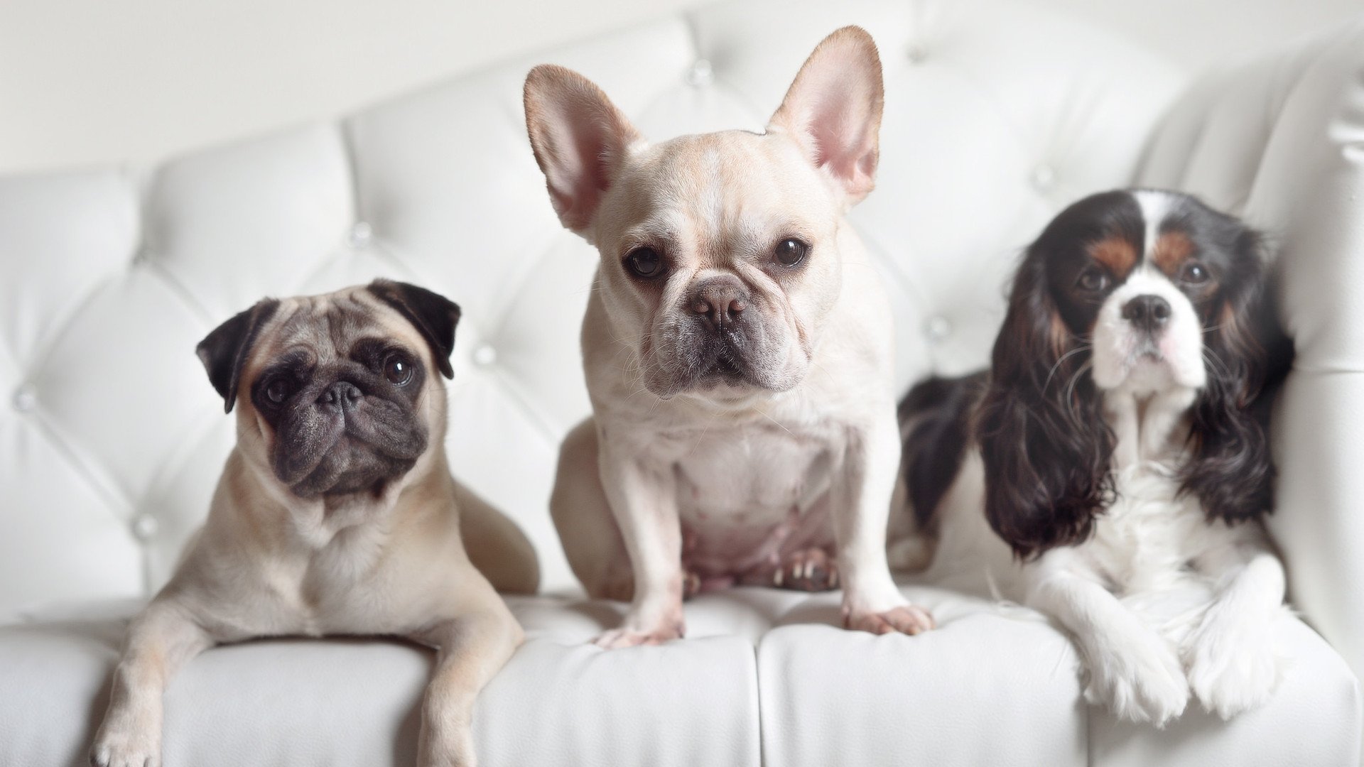 九游娱乐官网 (JIUYOU)-篮球裁判技术水平提升培训课程启动，篮球裁判培训内容