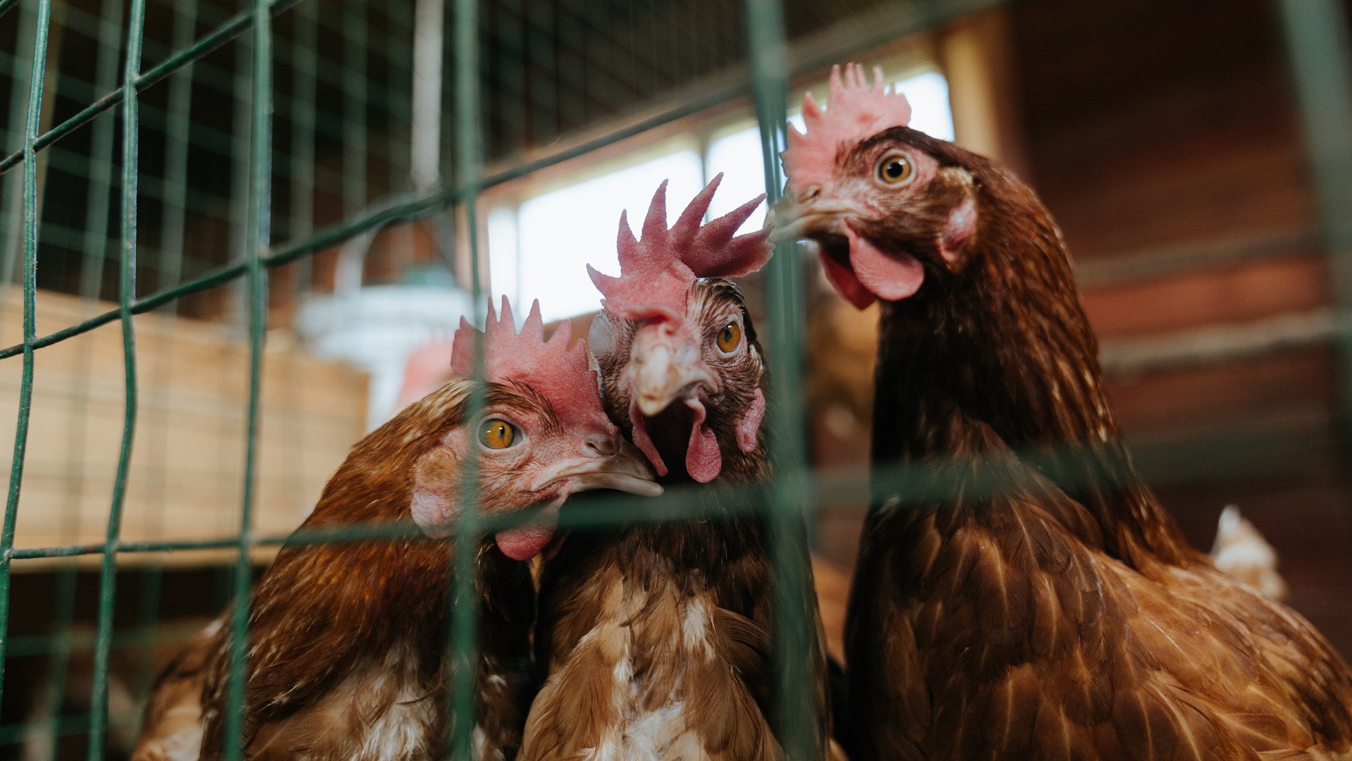 联盟年度重点:未来科技让比赛更“炫酷”,未来科技秀