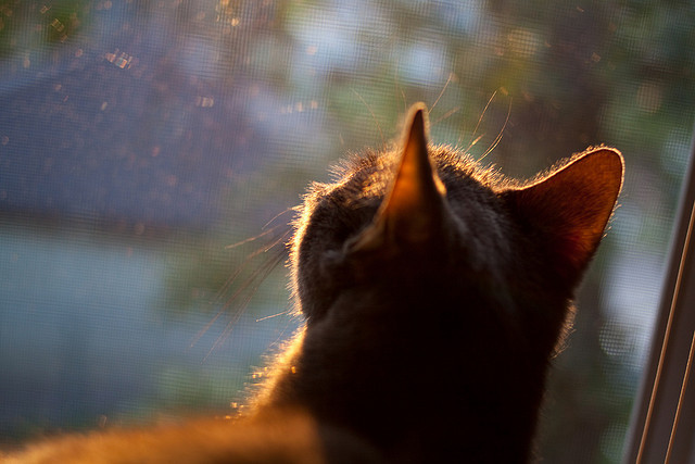 JIU YOU GAME-震撼人心的“逆转战役”：那些史诗片段，逆转击败