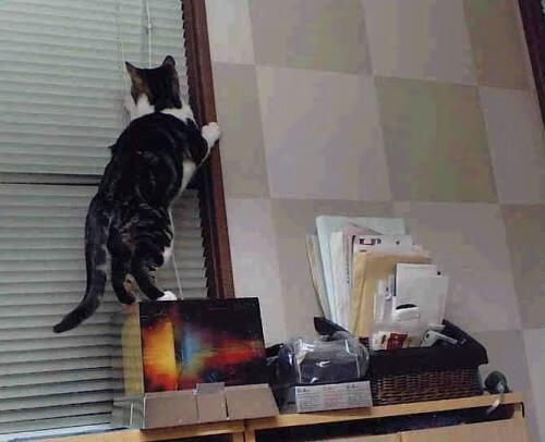 九游(jiuyou)官方网站-EDG参加国际赛事备受期待，edg比赛地点