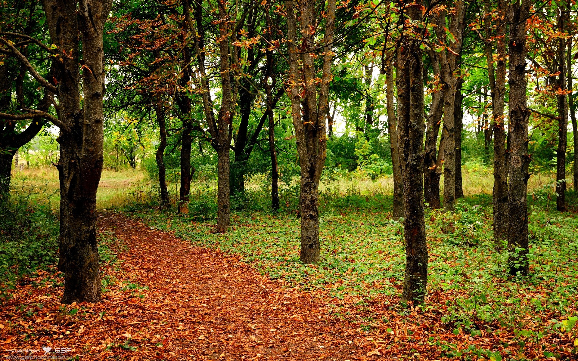九游9游-中超球队加强球探体系建设，球探比分中超