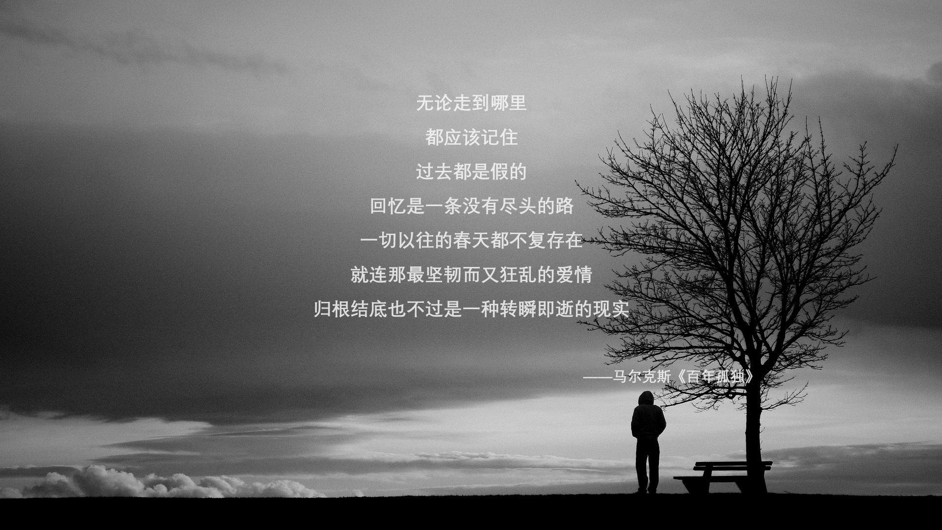 中超球队加强球探体系建设,球探比分中超