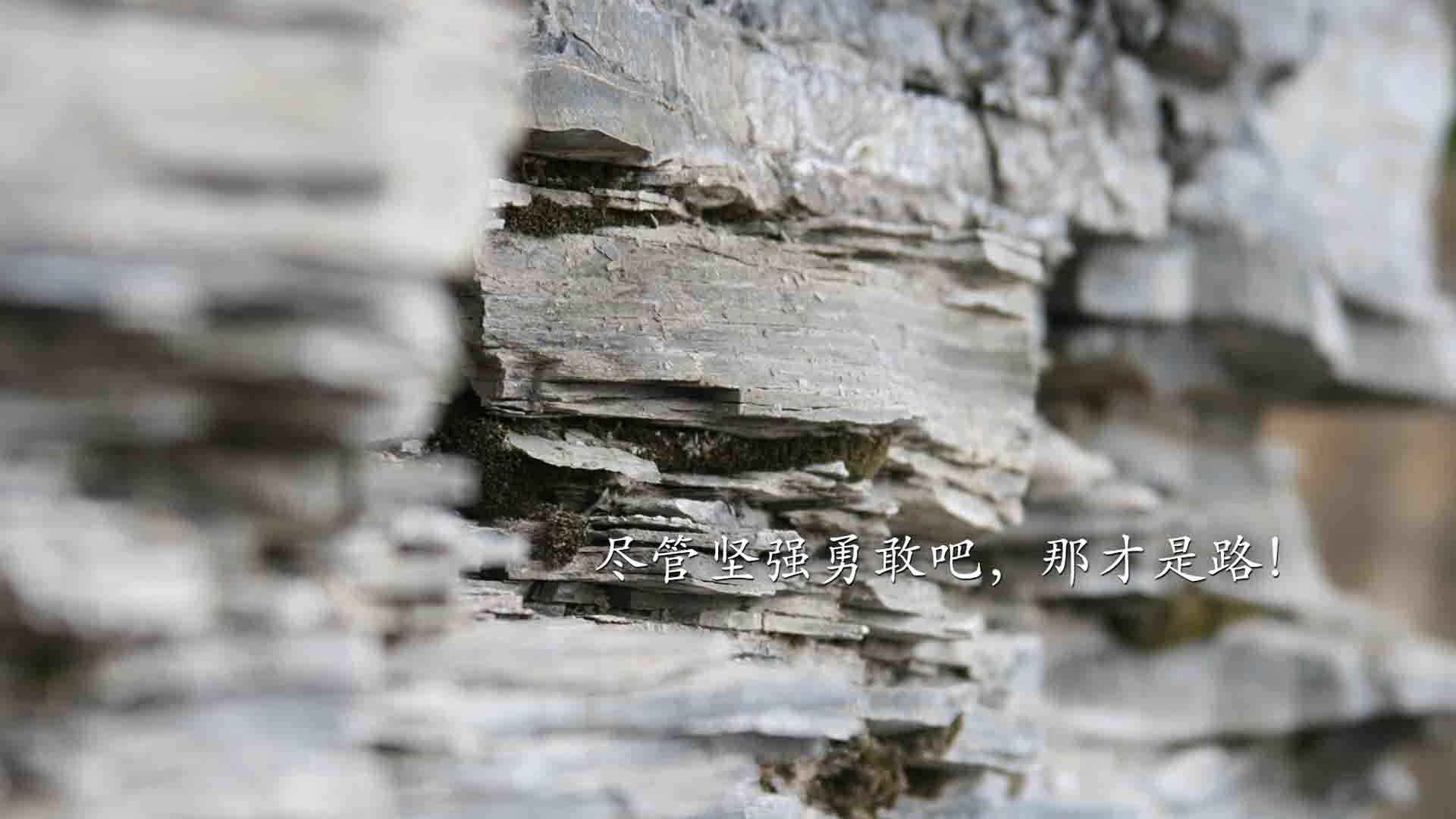 克罗地亚主帅调整战术,备战葡萄牙国家队,克罗地亚vs葡萄牙视频直播