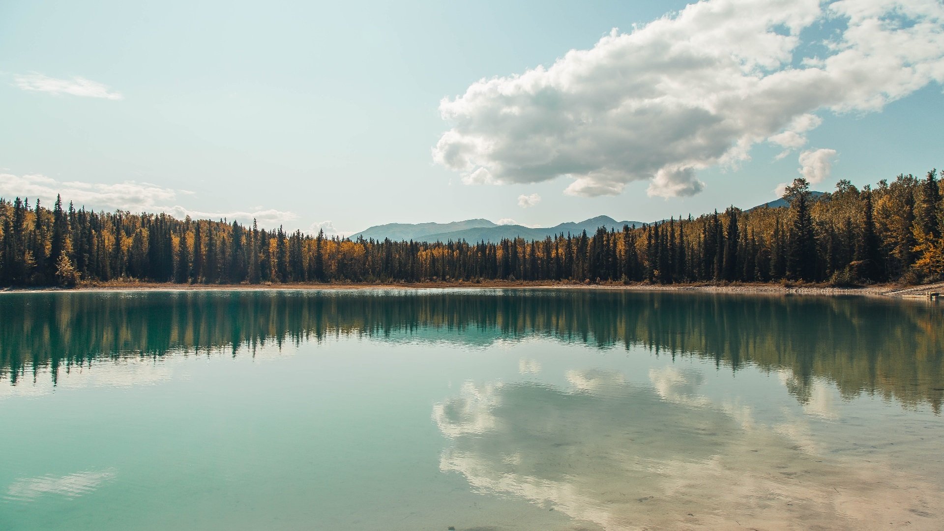 利物浦客场逼平沃特福德,遭遇阻击,利物浦vs沃特福德评分_菲米10分