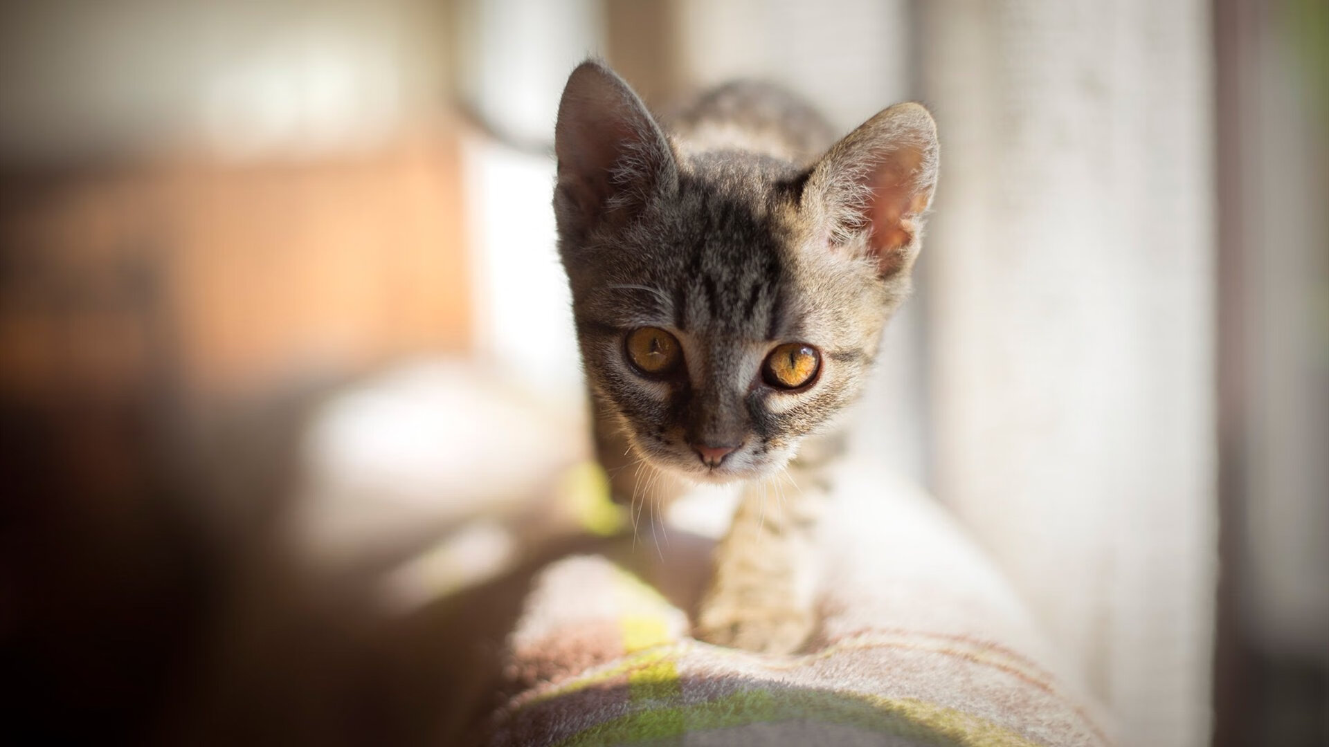 勇士客场逆袭雷霆,库里关键抢断+准绝杀,勇士胜雷霆开赛四连胜库里23分